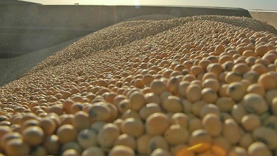 Después de 20 años, la Argentina importará soja desde Estados Unidos