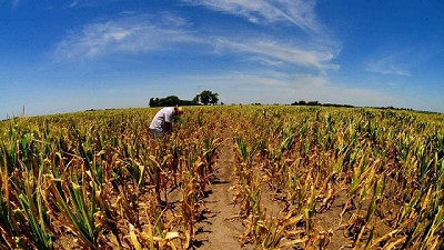 Elaboran un índice para cuantificar el impacto de la sequía en los cultivos