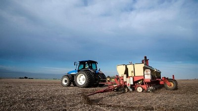 El trigo a punto de comenzar una campaña con un área récord