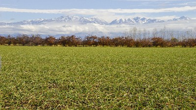 Mendoza avanza con sus economías regionales