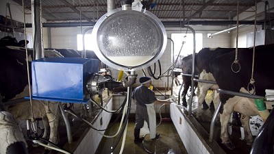 Nueva serie de producción nacional láctea