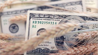 Bolsa de Rosario invierte $ 300 millones en banco para Pymes que atienda al agro