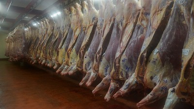 Las exportaciones de carne bovina crecieron 60%