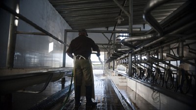 Tamberos de PILI siguen preocupados por atraso en pagos