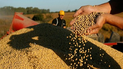 Récord en área y producción de granos para Brasil