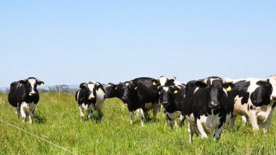 Estiman que las exportaciones lácteas crecerán 25 por ciento en 2018