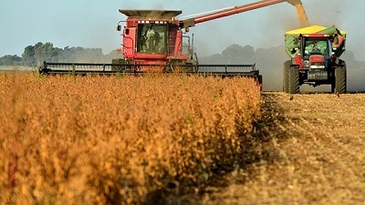 Cerealeras anticipan que caerá la liquidación en agosto