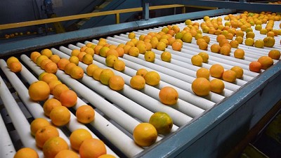Sacarle el jugo a la fruta: optimización de materia prima, un proceso en el que nada se descarta