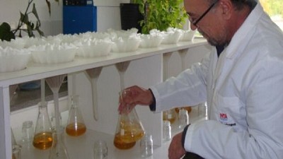 Buenos Aires: analizan la calidad de la cebada cervecera