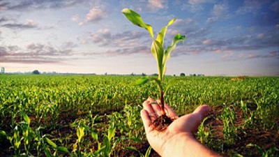 ¿El Mercado de Seguros Agropecuarios evoluciona o es otro problema con el que debemos convivir?