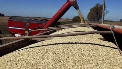 Granos: una jornada con un mercado 