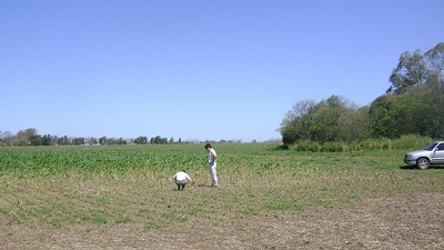 Proponen que los campos deban conservar intacta el 2,5 por ciento de su área