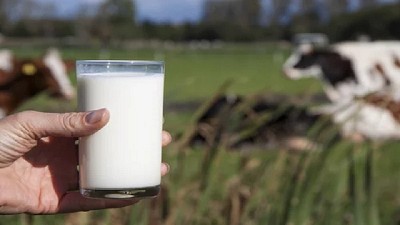 Junio: 6,75$ promedio por litro de leche