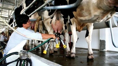 Se intensifican los controles en la actividad granaria y láctea