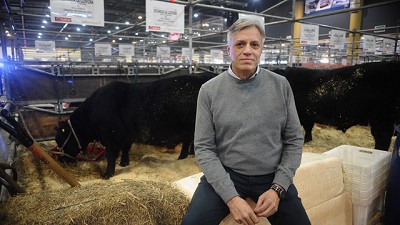 Exposición Rural 2018: Angus llega con fuerte presencia y una propuesta para aumentar el peso de faena
