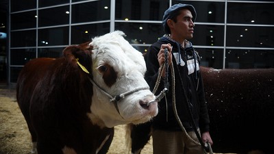 Exposición Rural: Las razas, optimistas con el futuro de la ganadería