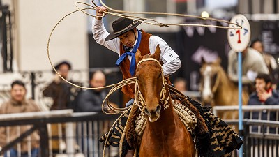 Los aperos, un legado de tradición