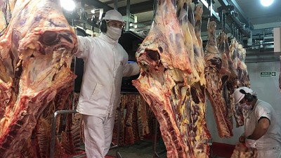 Carne: 