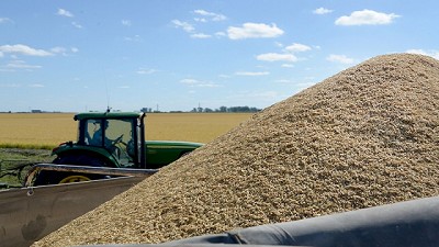 Nueva incorporación de productos a SIO Granos