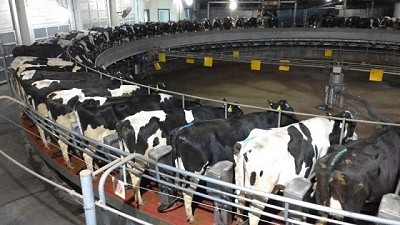 Los costos de la energía preocupan a los tamberos