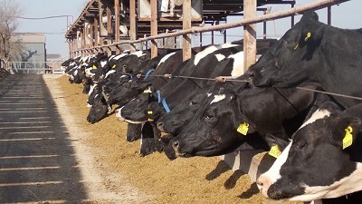 De grano a leche, por Héctor Huergo