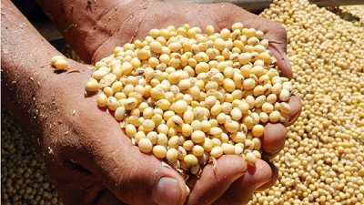 Guerra comercial y reestructuración del comercio internacional de la soja