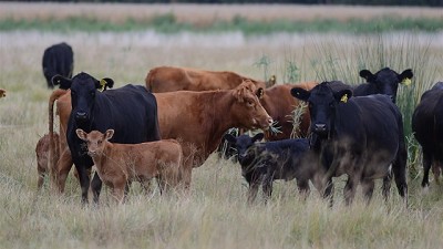 Congreso de Aapresid: imágenes satelitales para conocer el estado de las pasturas