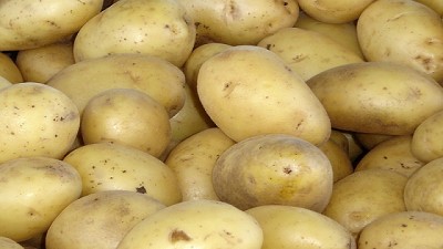 Agroindustria aprobó nuevo cultivo biotecnológico