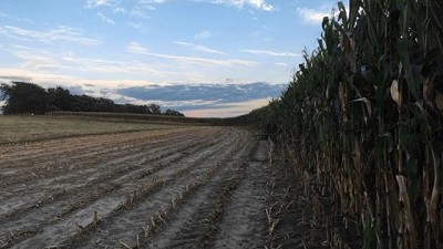 Cómo pasar del granero del mundo a la biofábrica global