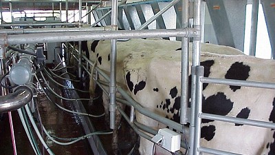 Generan acciones para mantener los tambos de la Provincia con capacidad productiva