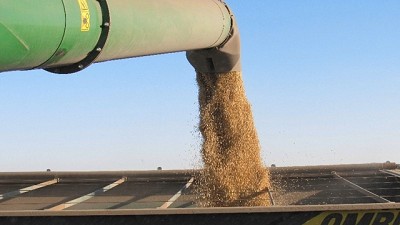 El USDA deprimió el mercado de la soja