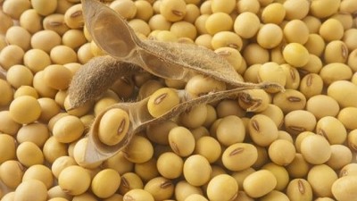 Súper semillas al ritmo del cambio climático