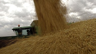 El sector agrícola tiene granos sin vender por US$6.500 millones