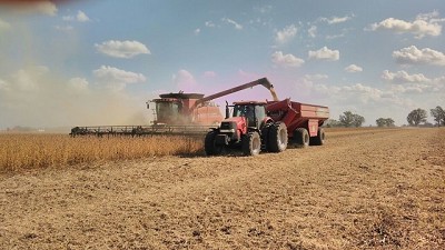 Crisis cambiaria. El campo cuenta ganadores y perdedores