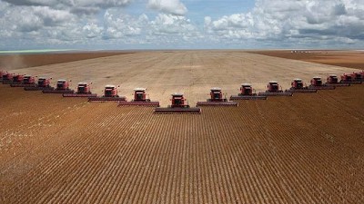 El agro brasileño profundiza su alianza estratégica con el gigante asiático