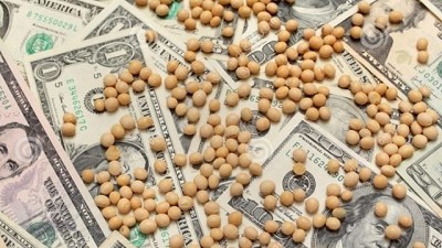 La fortaleza del dólar es un peso para el precio de la soja
