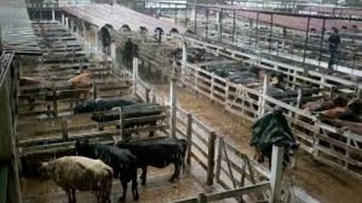 Lunes en Liniers: entradas cada vez más pobres