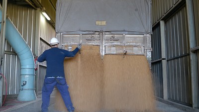 Actualización de la normativa del sector granario