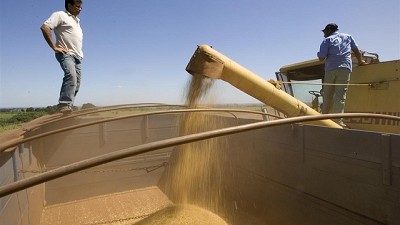 Proyectan que la cosecha brasileña caerá 6% este año y llegará a las 225,8 millones de toneladas
