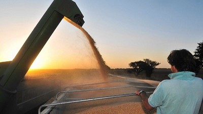 Seguridad alimentaria. “América Latina está llamada a ser protagonista”