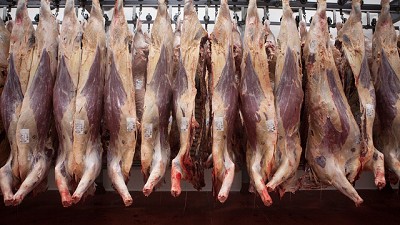 Los precios de la hacienda para faena aumentan por encima de la inflación