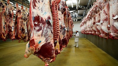 El peso medio de faena subió 5 kilos, por Ignacio Iriarte