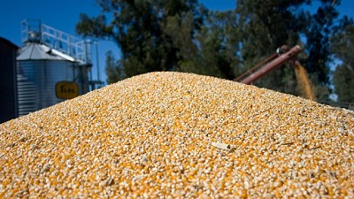 Por culpa de la sequía no mejoran las exportaciones