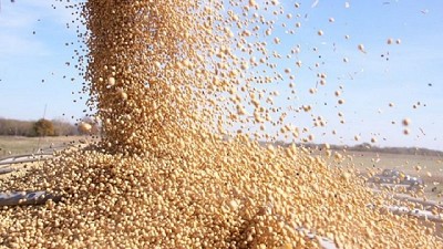 La tendencia bajista en Rosario no pudo ser frenada por el USDA