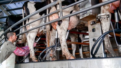 Los tamberos vuelven a la protesta y se reinstala el conflicto en el campo