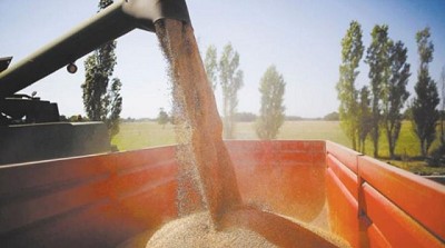 Empresa argentina sería una de las ganadoras de la nueva ley de semillas