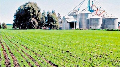 Los silos bolsas moverán u$s 500 millones en la próxima campaña