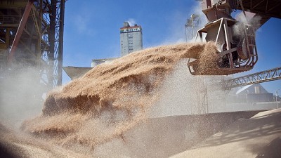 El INASE extiende y amplía la auditoría sobre producción de granos