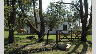 Campos explotados por su dueño, exentos de pagar Bienes Personales