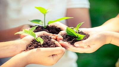 Una nueva matriz de materialidad que considera el futuro de la industria aseguradora